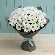 Букет цветов из:  Хризантемы в Лямбирь