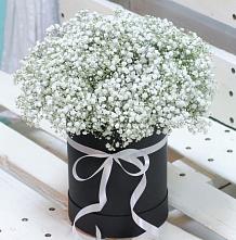 Цветочная композиция из Гипсофила в шляпной коробке #REPLACE_PRED# Лямбирь