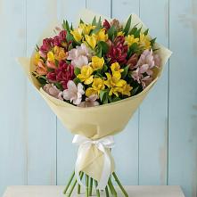 Букет цветов из:  Альстромерии в Лямбирь