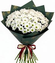 Букет цветов из:  Хризантемы #REPLACE_PRED# Лямбирь