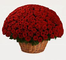 Премиум букет из: Розы в Лямбирь